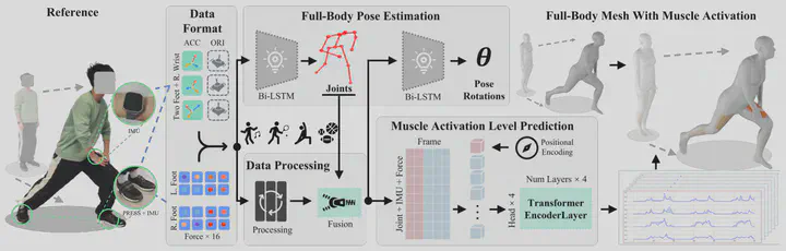 KineticsSense combines IMUs and plantar pressure sensors to model motion and predict lower-limb muscle activation.