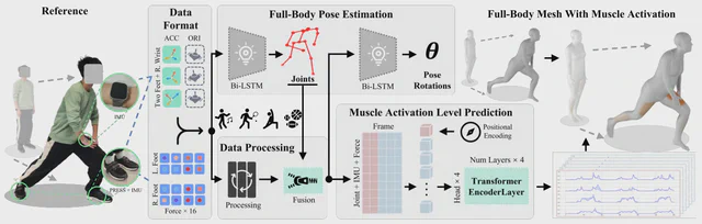KineticsSense combines IMUs and plantar pressure sensors to model motion and predict lower-limb muscle activation.