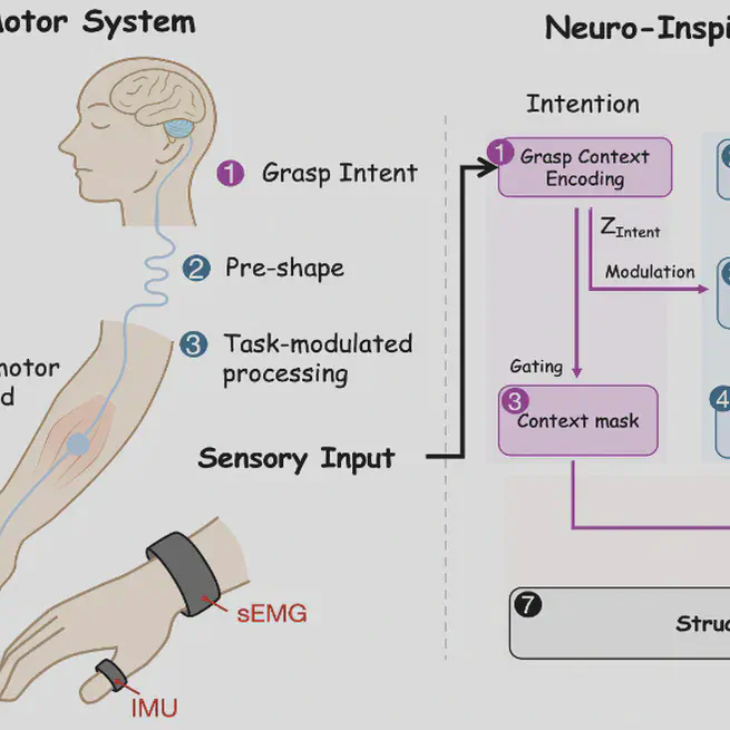 Trading Sensing for Structure: Sparse IMU-EMG Fingertip Force Estimation via Neuro-inspired Structured Modeling