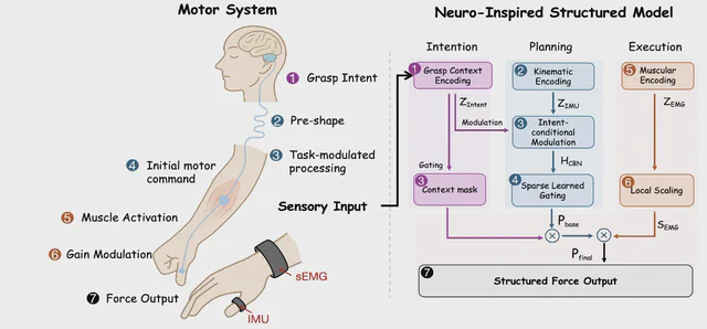 NiSM maps grasp intention, planning, and execution to structured fingertip force estimation using IMU and sEMG signals.