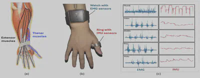 From Wrist to Finger biomechanics and complementary IMU and EMG signals from Figure 1.