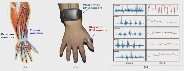 From Wrist to Finger biomechanics and complementary IMU and EMG signals from Figure 1.