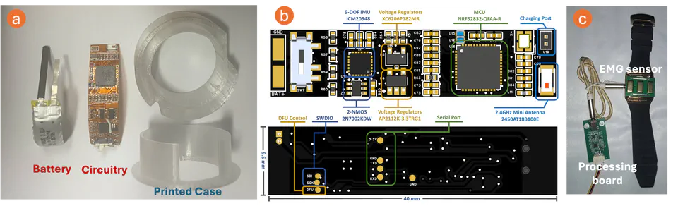 From Wrist to Finger: Hand Pose Tracking Using Ring-Watch Wearables